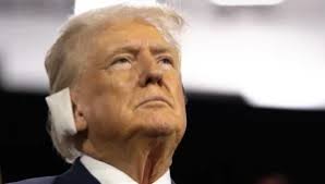 Christopher Roper Schell