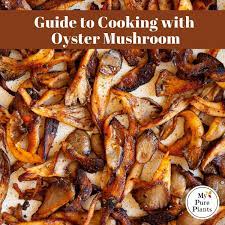 We did not find results for: Guide To Oyster Mushrooms 20 Must Try Recipes My Pure Plants