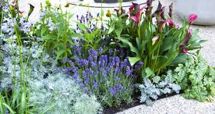 Order flower bulbs, indoor plants, outdoor plants and accessories at bakker.com. Ein Farbenfrohes Beet Fur Den Garten Bakker Com