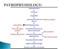 Neurogenic Shock