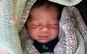 Birth: Forest River Noll