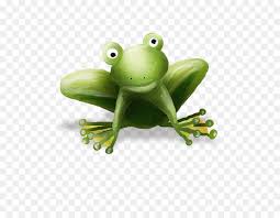 True Frosch Zeichnen Frosch Png Herunterladen 800 694 Kostenlos Transparent Png Herunterladen