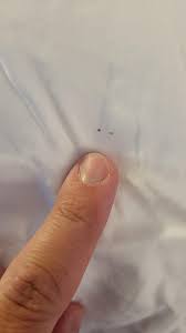 Image result for bed bugs droppings