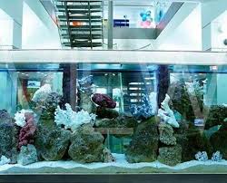 Fish Tank Office Fish Tank Fish Tank Design Aquarium Fish Tank