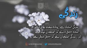 We did not find results for: Urdu Quotes Urduhindiquotes Twitter