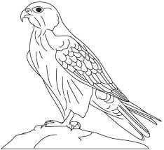 Cartoon Bird Pictures To Color Pin On Arabic Alphabets Crafts Coloring Pages