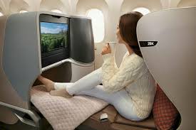 Pin By Ebcrew On Free Time Singapore Airlines Business Class Boeing 787