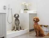 28 Dog Room Ideas You and Your Best Friend Will Love