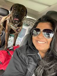 Black and white dog adopted