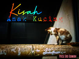 Harimau sering merasa lapar karena makanannya hanya sedikit. Kisah Anak Kucing Disekolahkan Kompasiana Com