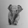 If you are still not too sure about how realistic and awesome animal pencil drawings can be, then all you have to do is look at the evidence here. 1