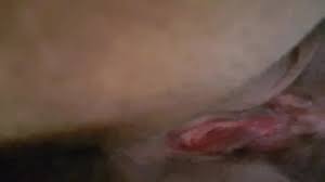 Guzel Bir Kadinin Guzel Bir Jesti: Anal Porn