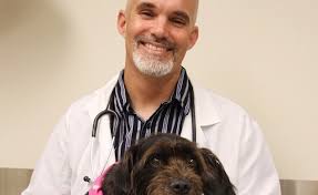 Dogs have an average life expectancy of 12 years. Canine Bone Cancer Successfully Treated With Vaccine Made From Dog S Own Tumor