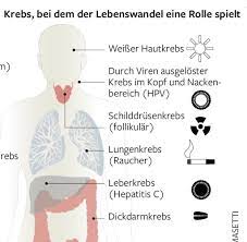 Allerdings reicht in der regel eine einzige genveränderung für die entstehung von krebs noch nicht aus, erklärt prof. Mysterium Des Korpers Warum Befallt Krebs Fast Nie Das Herz Welt