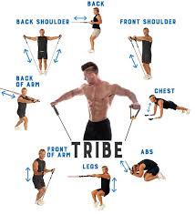 Tribe 11pc Premium Resistance Bands Set Workout Bands With Door Anchor Handles And Ankle Straps Stackable Up Resistance Workout Band Workout Abs Workout
