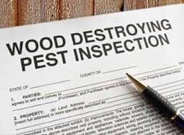 Procor's pest inspectors will do a visual inspection of all readily accessible areas of the structure such as attics and crawl spaces. Termite Inspections