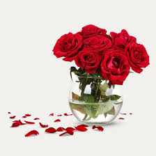 Flowers are one of the most beautiful creations of nature. Flowerwatch Taking Quality Vaselife To A New Level