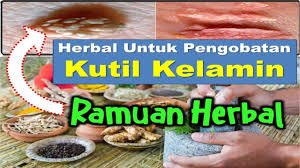Pin Di Klinik Sehat Herbal
