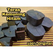 ✅ tidak dinamakan teras melainkan usia pokok menjangkau 100 tahun keatas. Kemuning Prices And Promotions Jun 2021 Shopee Malaysia
