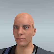 WIP] The Models of Destiny