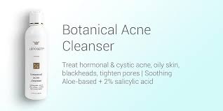 Image result for Gunillaea