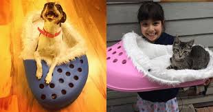 【cute dog crocs shoes】when your pup puts on the cute crocodile shoes, you will immediately take out your phone and record the fun moment. You Can Now Get A Giant Croc Bed For Your Pet And People Are Loving It