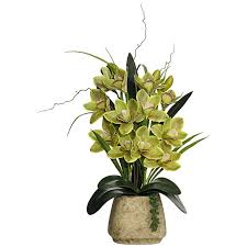 Upgrade if you would like with the drop down menu. How To Arrange Cymbidium Orchids