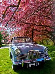 Image result for April Yellow 1958 Sunbeam