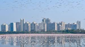 Best Photos of Animals Taking Over Cities on Lockdown Across the World |  Boat International