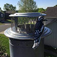 Learn how to get rid of bees in your chimney stack. How To Prevent Birds In Chimney Full Service Chimney