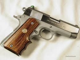 Image result for Grace Silver 1988 Colt