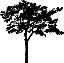 Check spelling or type a new query. 45 Tree Silhouettes Png Transparent Background Onlygfx Com