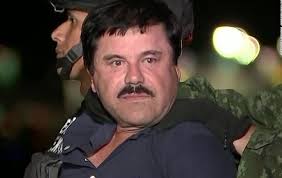 In the below section you will get the details of alejandrina gisselle guzmansalazar's height, age, affairs, net worth, and. El Chapo Guzman Net Worth 2021 Age Height Weight Wife Kids Bio Wiki Wealthy Persons