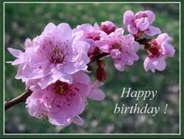Check spelling or type a new query. Purple Flowers Happy Birthday Flower Happy Birthday Flowers Gif Happy Birthday Flowers Images