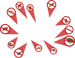 Our goal to be # 1. B R Pest Control B And R Pest Control