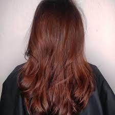 Fall Hair Rich Warm Tones Red Tones Copper Tones Warm Red Hair Golden Brown Hair Color Best Hair Salon Tone Hair