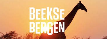 In de brabantse bossen ligt een prachtige wildernis verscholen waar spelen, avontuur en overnachten gevaarlijk dichtbij komt. Beekse Bergen Kiest Voor Today Is Canday Marketingtribune Bureaus