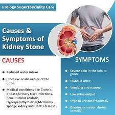 But You Need To Know Something Our Nanna Is Not The Only One To Live Out This Kind Of Story In 2020 Chronic Kidney Disease Kidney Disease Kidney Stones Symptoms
