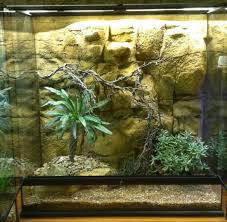 At petsmart you can find complete habitat kits with glass or acrylic terrariums, screen housing, and more. Reptile Aquarium Backgrounds Reptile Tank Products Universal Rocks