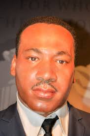 81,692 Martin Stock Photos