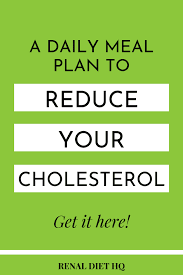 Daily Meal Plan To Lower Cholesterol Renal Diet Menu Headquarters In 2020 Daily Meal Plan Lower Cholesterol Diet Lower Cholesterol Naturally