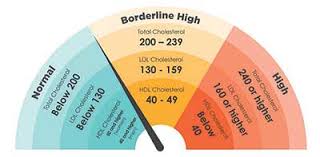 Image result for LDL Cholesterol