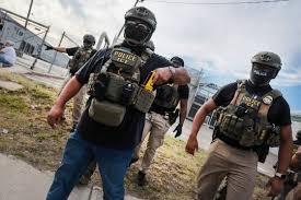 All ICE officers will have body cameras by end of August, director says