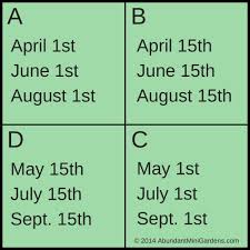 Customize the document based on your employment requirements, criteria, and policies to be a legal and standard screening tool for your organization. Sample Garden Layouts Abundant Mini Gardens