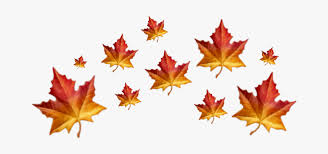 Discover 5050 free leaf png images with transparent backgrounds. Falling Autumn Leaves Png For Editing Transparent Png Transparent Png Image Pngitem