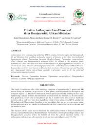 Image result for Tapinanthus constrictiflorus