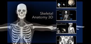 Open essential skeleton 3 apk using the emulator or drag and drop the apk file into the emulator to install the app. ÚˆØ§Ø¤Ù† Ù„ÙˆÚˆ Ø§ØªØ§Ø±Ù†Ø§ Skeletal Anatomy 3d Apk Android ÚˆØ§Ø¤Ù† Ù„ÙˆÚˆ Ú©Û' Ù„Ø¦Û' ØªØ§Ø²Û ØªØ±ÛŒÙ† ÙˆØ±Ú˜Ù†