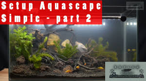 Menunggu waktu berbuka puasa di jakarta aquarium. Toko Aquascape Lengkap Murah Di Jakarta Selatan Aquajaya Youtube