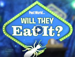 The most effective way to deal with a bed bug infestation is to hire a pest management professional (pmp) reputable pest control companies will provide these documents and review them with their clients as part of their service contract. Npma Epestworld