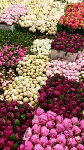 Maybe you would like to learn more about one of these? 110 One Million Roses Ideas In 2021 Luxury Flowers Million Roses Beautiful Flowers